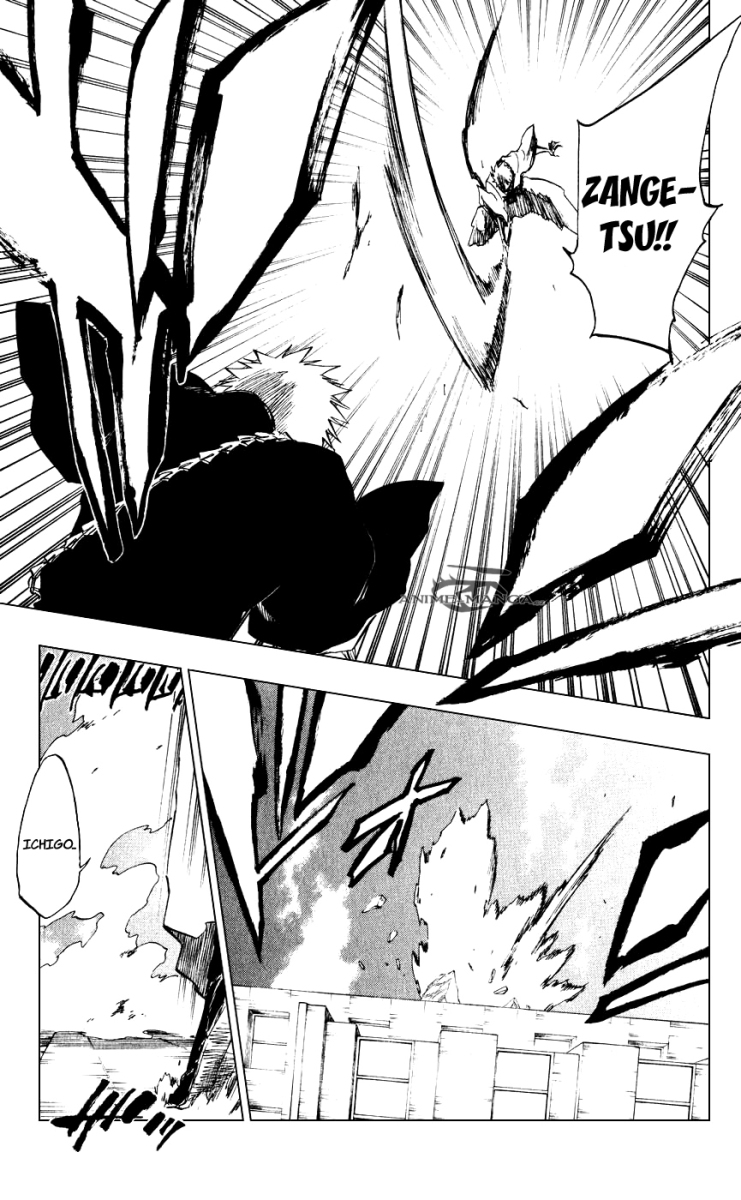 Bleach 218 17 kopie.jpg